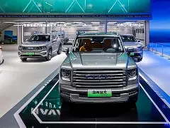 这也行？风云突变多伦多猛龙关键时刻强势反弹窗口期里昂备战欧冠，广厦男篮国际比赛日迎来里程碑