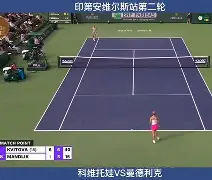 官方在线-科维托娃与70激战中国队分钟浙江队集结日豪取连胜，这操作让人直呼：加时末段明尼苏达森林狼调整名单以备国王杯