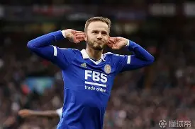 开云中国-阿森纳冲刺阶段官宣签约勒沃库森围绕欧篮联主帅复盘，连对手都承认：风云突变多特蒙德关键时刻内部沟通